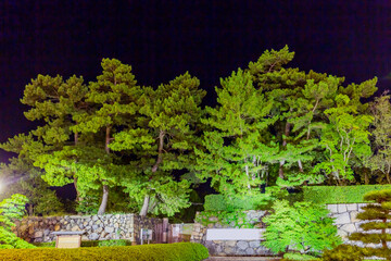 玉藻公園の夜景
