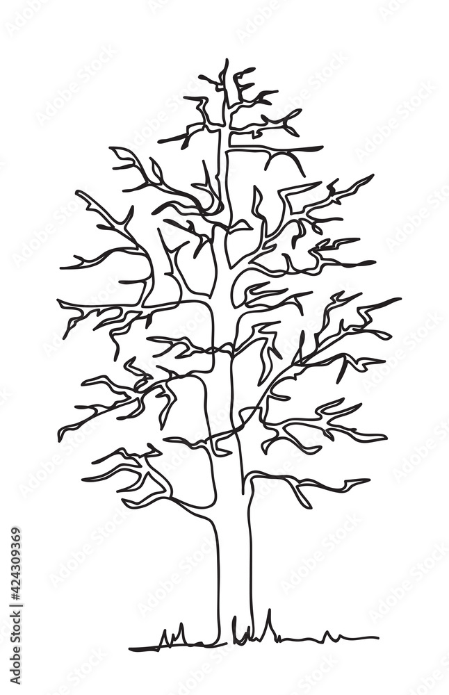 Wall mural tree. continuous line art drawing vector illustration