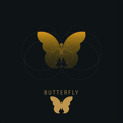 Butterfly logo, vector illustration. Dark background.
