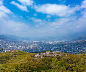 Fototapeta premium 満開の桜と青空の広角写真