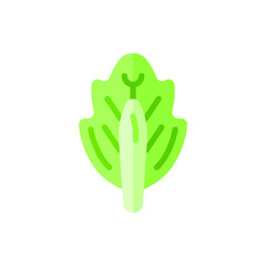 Cabbage Flat Icon Logo Illustration Vector Isolated. Chinese Food and Restaurant Icon-Set. Suitable for Web Design, Logo, App, and Upscale Your Business.