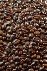 fresh roasted coffee beans packed in vacuum sealed bag