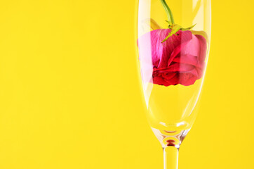 A rose bud stands in a glass glass bud down close-up on a yellow background with a copy space. The concept of the holiday. High quality photo