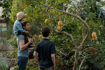 Adventurous family inspecting tropical gallery in Botanical garden. Local travel