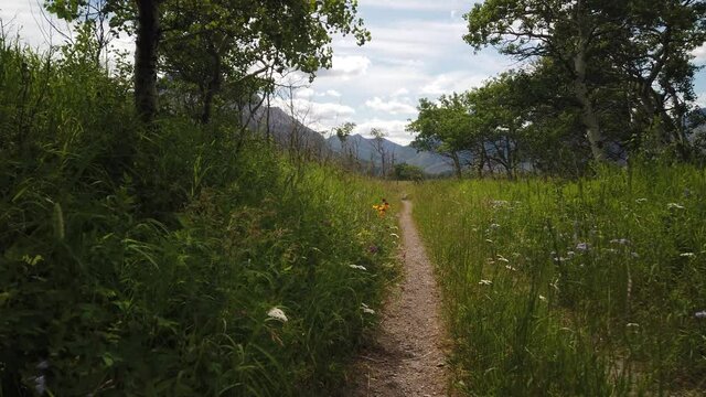 Hiking Trail Towards Vimy Peak in Waterton National Park of Canada