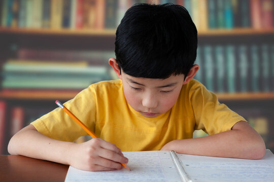Young Asian boy studying in school library