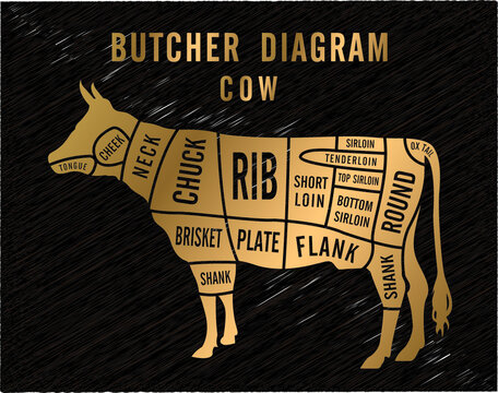 Butchery Shop Poster with Cow Meat Cutting Charts in Golden Colors on Black Blackground. Vector Print Templates. Sketch Hand-drawn Farm Animal Illustration. Butchers Guide Diagram Design