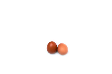 egg on white background