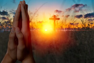 Gratitude.
