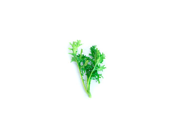 dill isolated on white