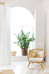 a wicker chair in a light gray room. Boho style. Asian style room. Clean and simple interior. Plants in a room. Beach dwelling interior. Apartment for sea vacation