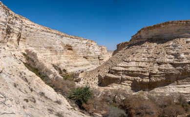 Fototapeta premium Large panoramic view of Ein Avdat - a canyon in the Negev Desert