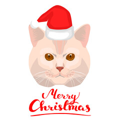 Cat portrait with quote Merry Christmas, vector illustration