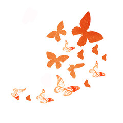 Flock of silhouette butterflies on white