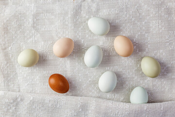 Colorful organic eggs natural colors of different breeds of chickens.