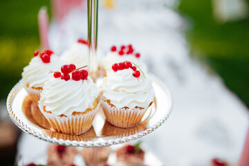 Closeup on banquet frosted cupcaked with berries on blurry background