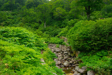 月山 山形 霊山 霊峰 出羽三山 登山 トレッキング 絶景