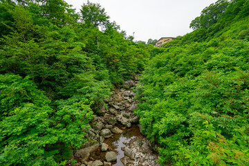 月山 山形 霊山 霊峰 出羽三山 登山 トレッキング 絶景