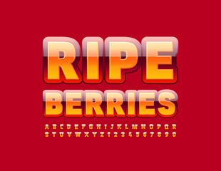 Vector tasty emblem Ripe Berries. Bright glossy Font. Modern Alphabet Letters and Numbers set
