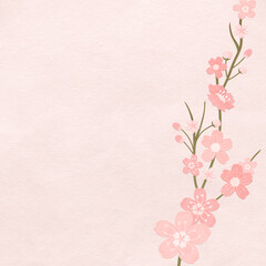 Fototapeta na wymiar Spring background with pink sakura flower