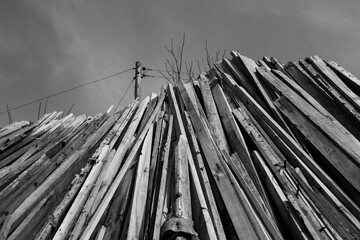 a pile of firewood collected
