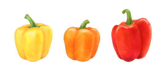 パプリカ　野菜の手描きイラスト