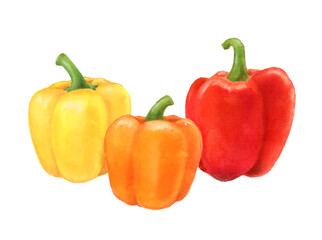 パプリカ　野菜の手描きイラスト