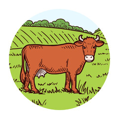 Farm animal. Cow sketch. Hand drawn. Vintage style. Vector illustration