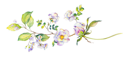 Flowers watercolor illustration. Manual composition.Design for cover, fabric, textile, wrapping paper . - 424361956