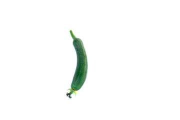 cucumber