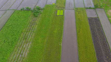 Image of beautiful Terraced rice field in water season and Irrigation from drone, Top view of rices paddy field in Java, Indonesia