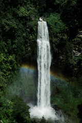 waterfall in the forest