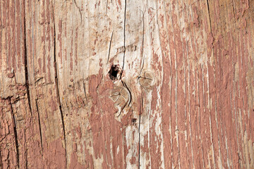 Old dried paint on a wooden background.