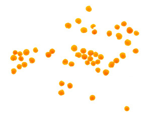 Lentils isolated on white background.