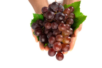 hand holding grapes