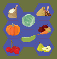 cabbage, vegetabbles, cherry, groats, semolina, pumpkin, pear. Food ingredients cabbage on colorful background. Nature illustration. Healthy meal.