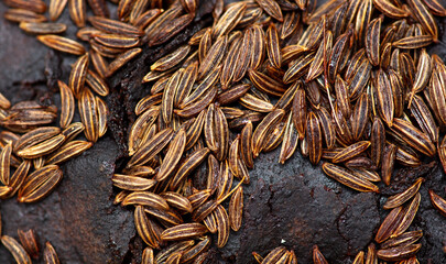 Cumin seeds on rye bread as background.