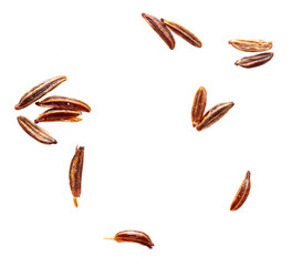 Caraway seeds isolated on a white background.