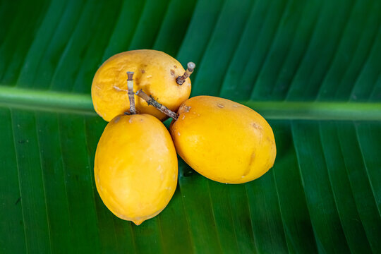 grenadilla Passiflora laurifolia