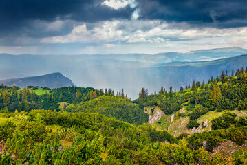 Dramatic summer view of Tara canyon. Picturesque morning scene of Durmitor National Park, Montenegro, Europe. Beautiful world of Mediterranean countries.