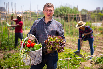 Mature man gardener holding basket with harvest of fresh vegetables in rural