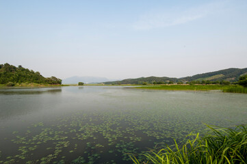 Obraz premium 우포늪은 천연보호구역