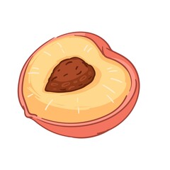 Ripe fruit, peach with seed, nectarine or apricot