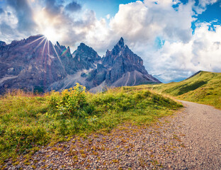 Beautiful summer scenery. Majestic morning scene of Dolomiti Alps with Cimon della Pala mountain...
