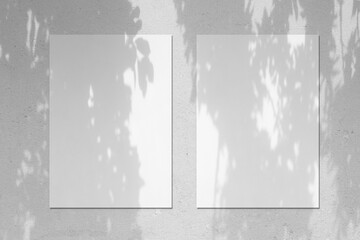 Two empty white vertical rectangle poster or card mockups with soft tree leaves shadows on neutral light grey concrete wall background. Flat lay, top view
