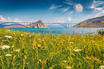 Beautiful summer scenery. Adorable morning view of bridge to Krk island. Green summer scene of Croatia, Europe. Amazing world of Mediterranean countries.