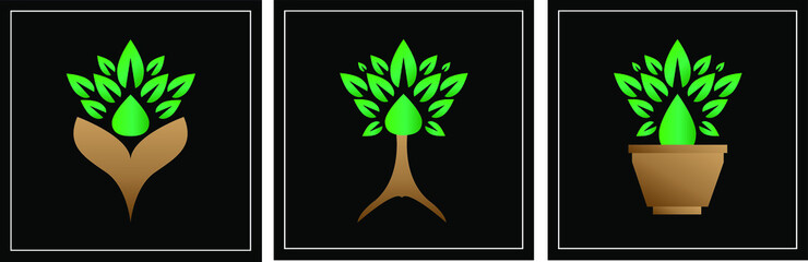 plant in the shape of heart