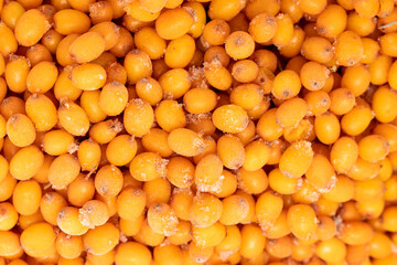 sea buckthorn berries as background
