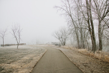 road in the fog