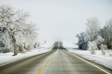 Fototapeta premium road in winter